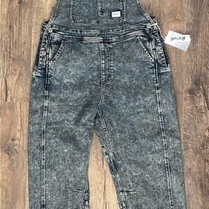 Ripton Women’s Starving Jartist Overalls in color mercury, size small